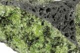 Peridot in Basalt - Arizona #247740-1